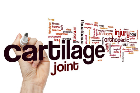 Cartilage