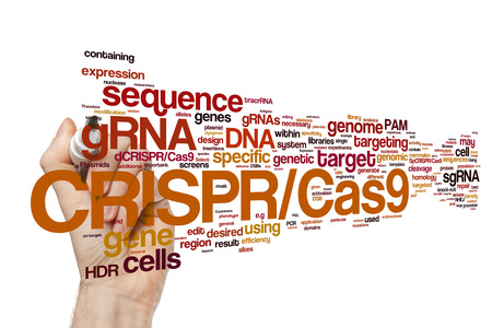 CRISPR/Cas9