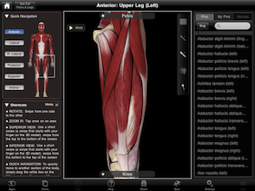 Muscle System Pro II Muscle System Pro II