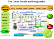 Omics Matrix and Integromics