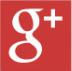 Google+