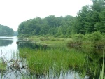 Eygpt Meadow Lake