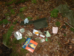 Tobyhanna Geocache